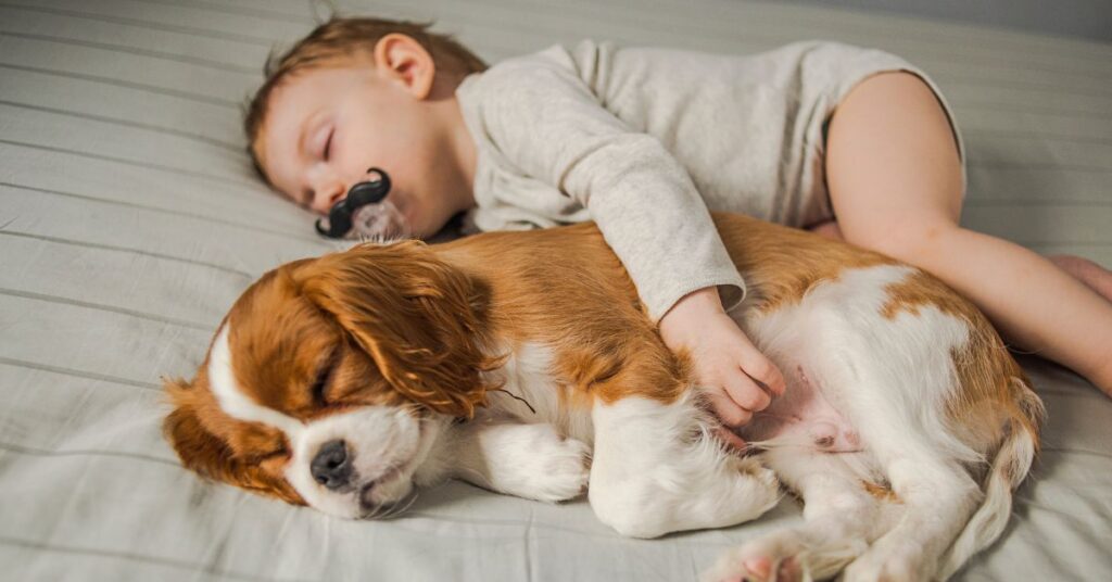 dormire con il cane o gatto