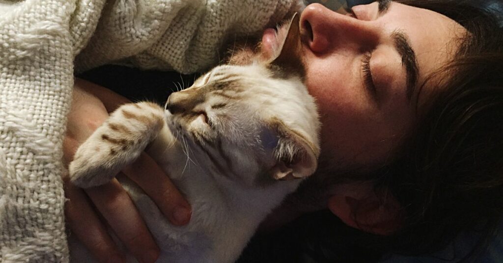 vantaggi dormire con gatto